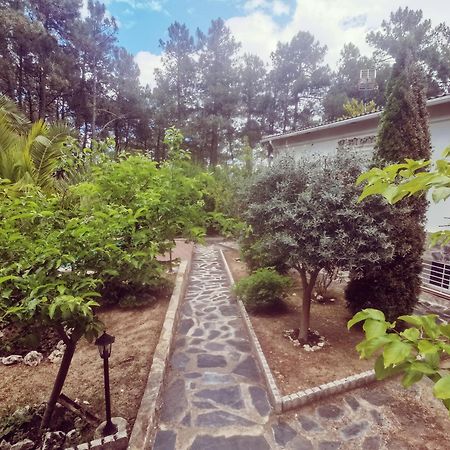 Bonita Casa En El Bosque - El Tiemblo Villa Exterior photo